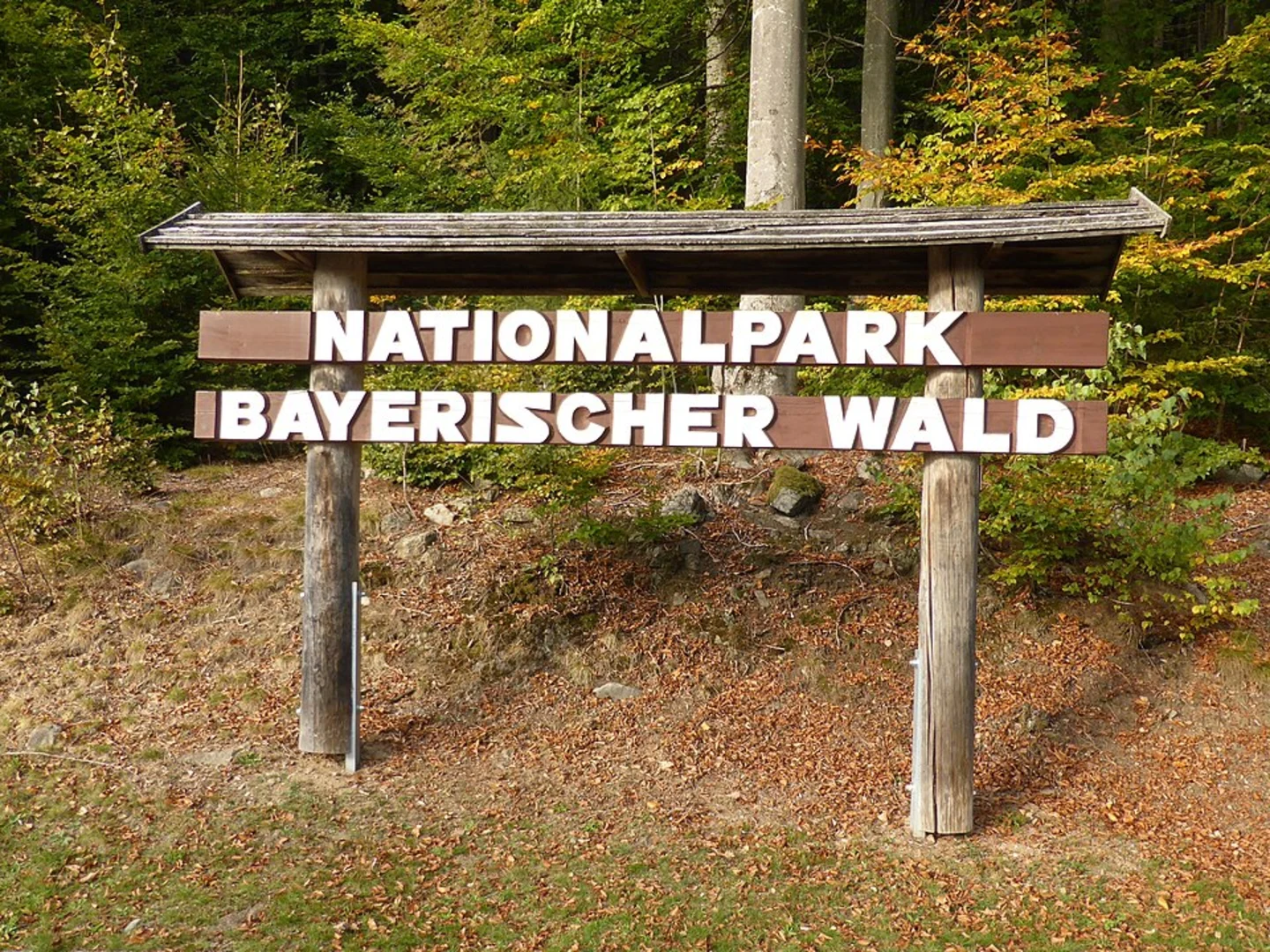 An image depicting the trail Frauenau Dam and Großer Rachel Walk and its surrounding area.