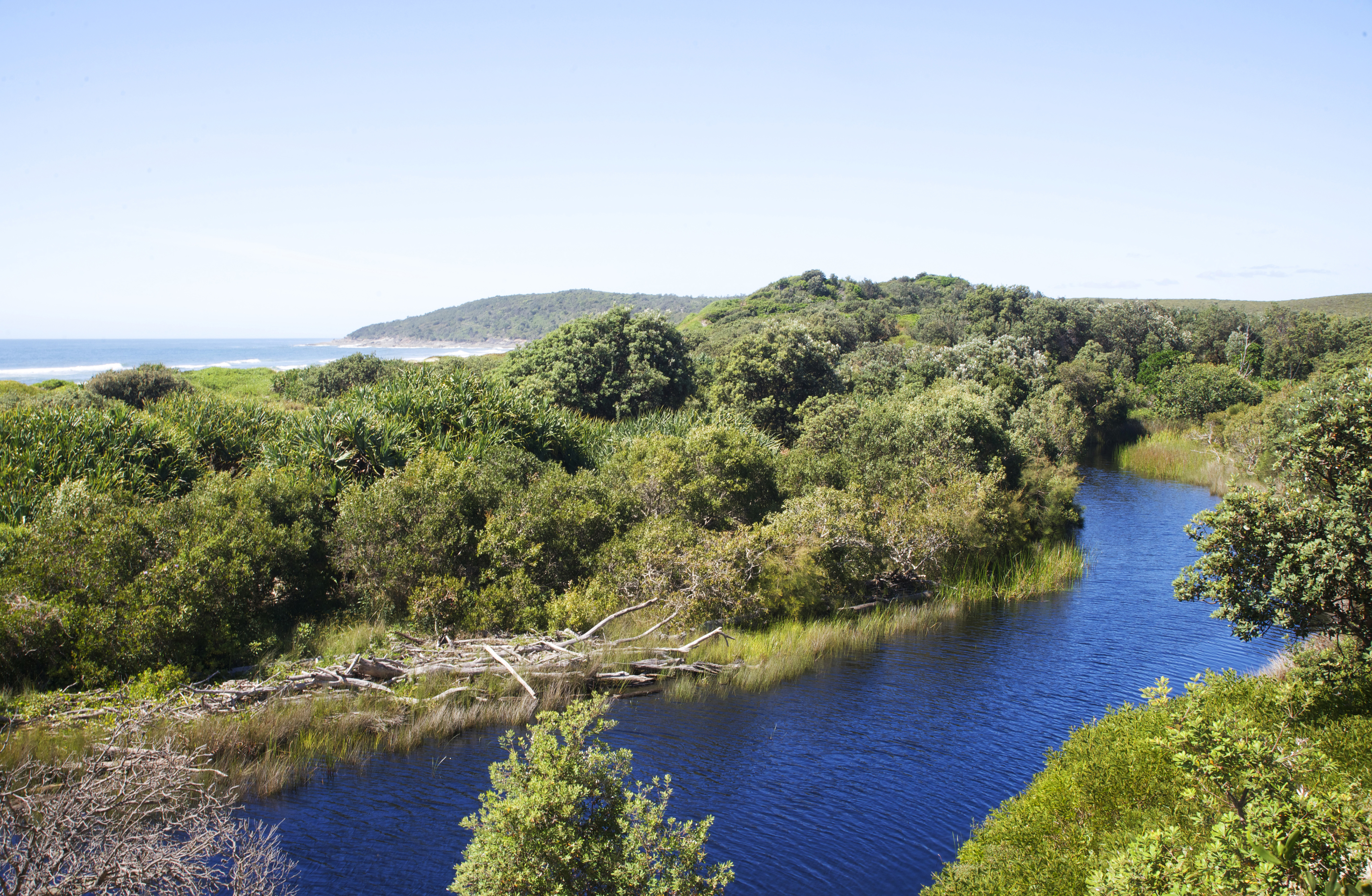 An image depicting the trail Yuraygir National Park and its surrounding area.
