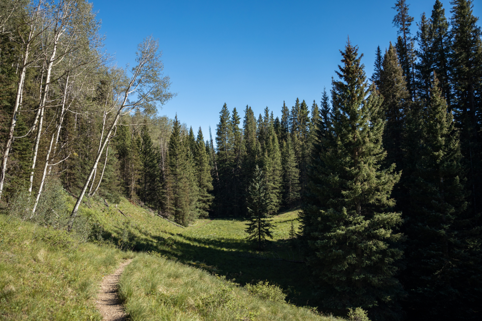 An image depicting the trail Galloping Goose Trail and its surrounding area.