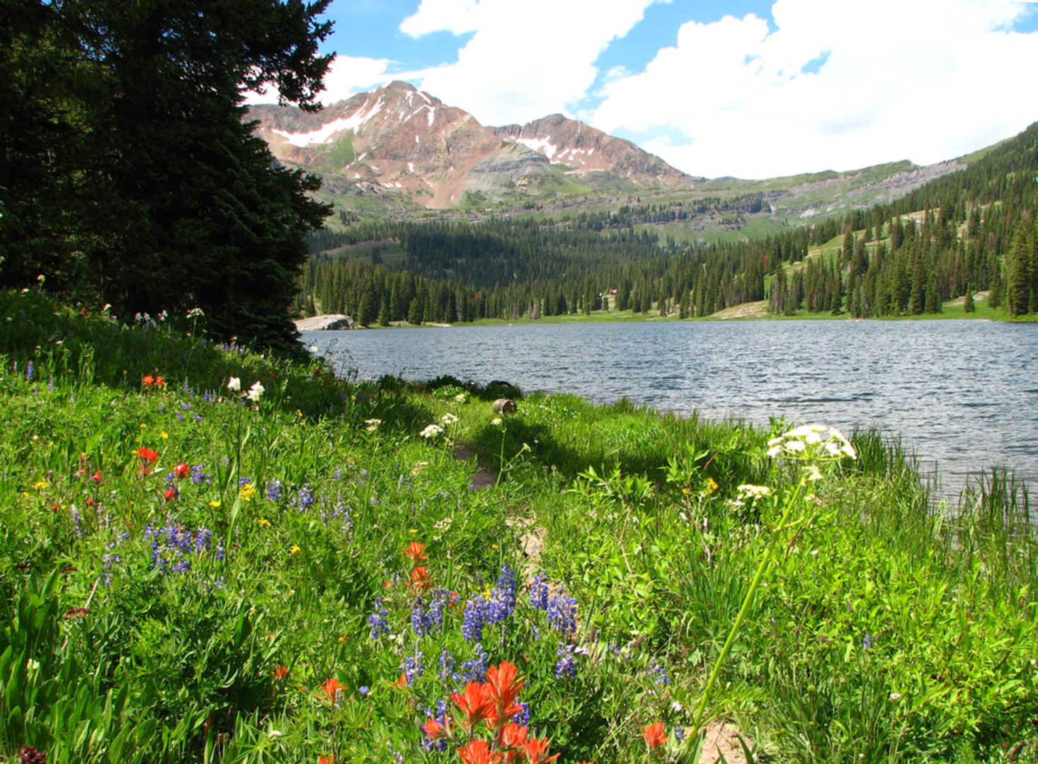 An image depicting the trail Gunsight Pass Trail and its surrounding area.