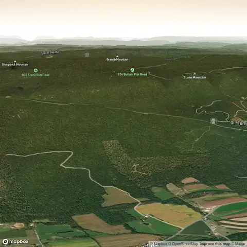 Laurel Run Trail Out and Back