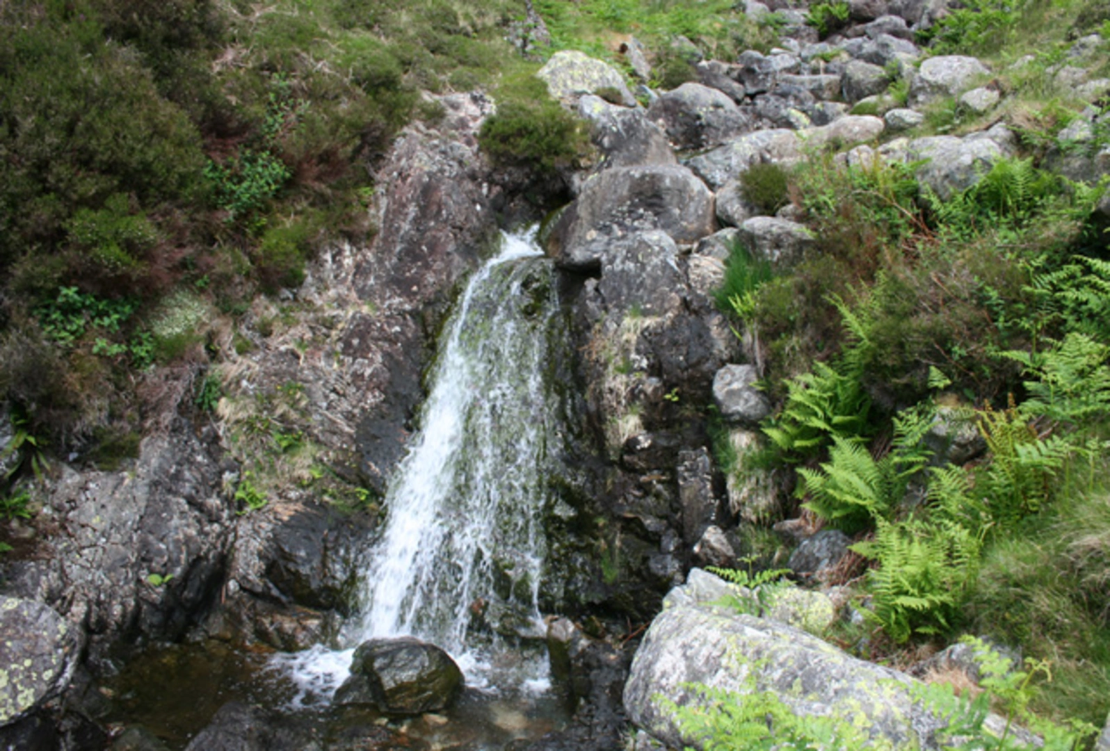 An image depicting the trail Buckbarrow Loop - Greendale and its surrounding area.