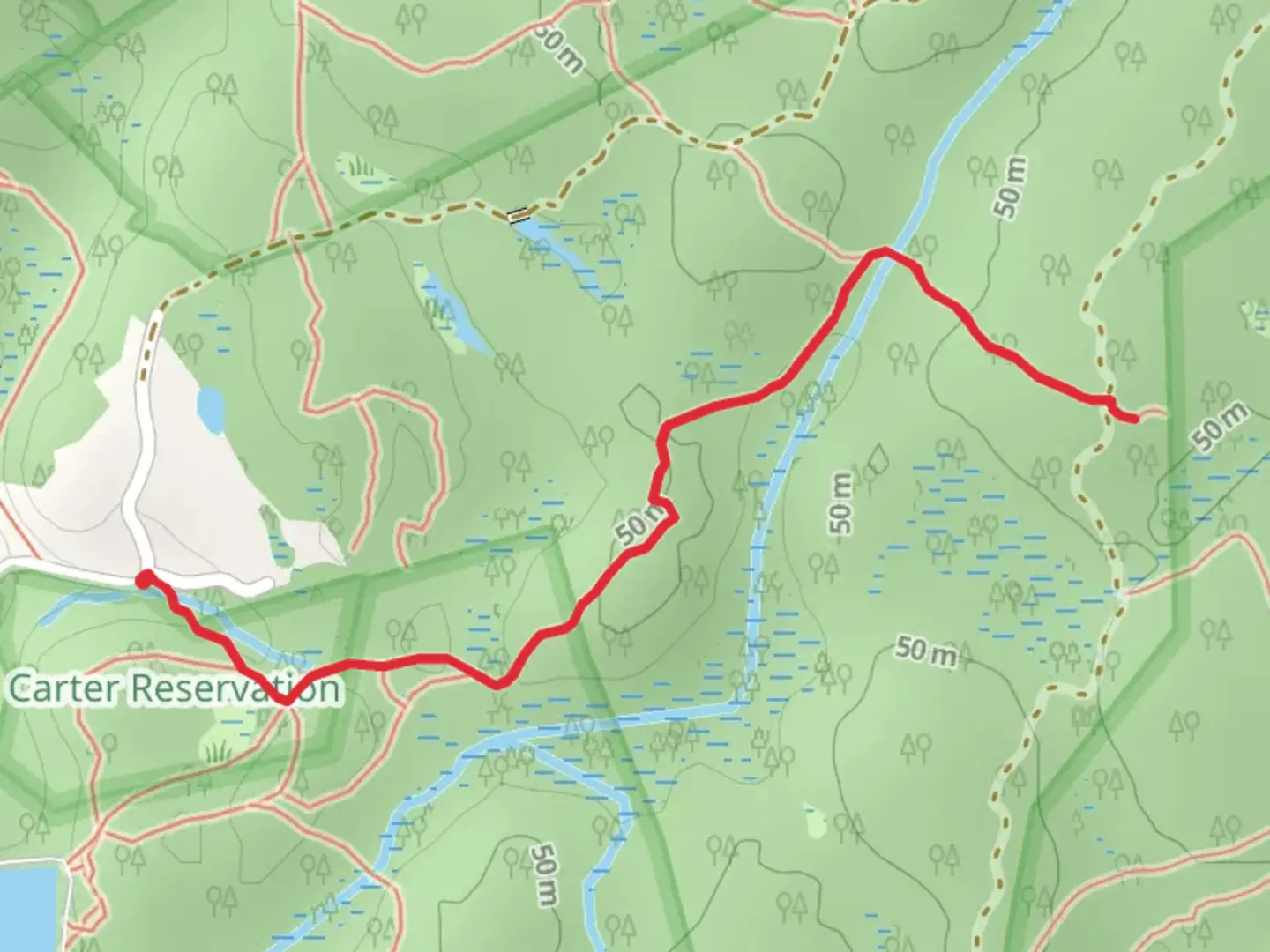 An image depicting the trail Mongrel Trail - Dogtown Woods and its surrounding area.