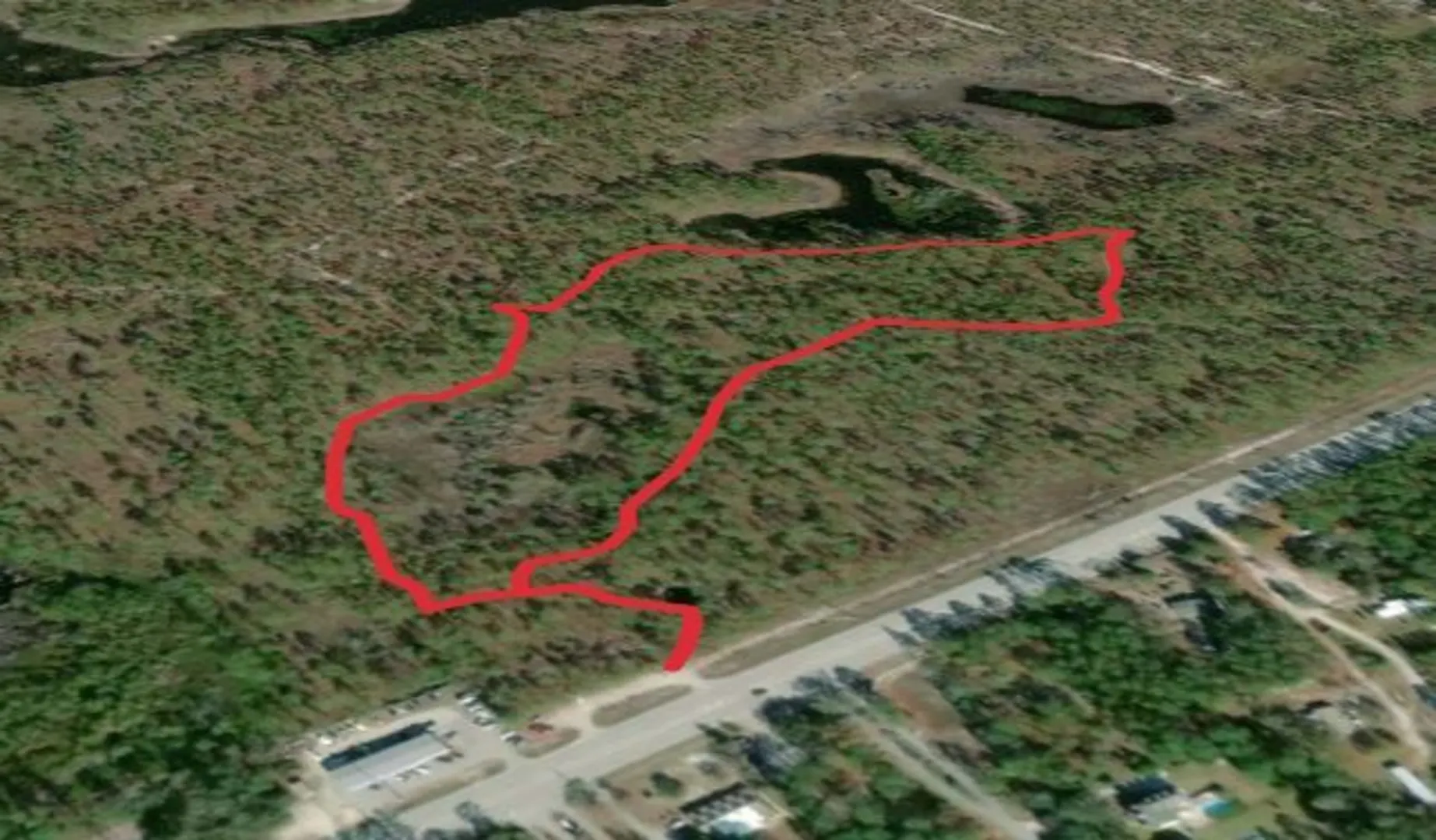 An image depicting the trail Patsy Pond Green Loop Trail and its surrounding area.