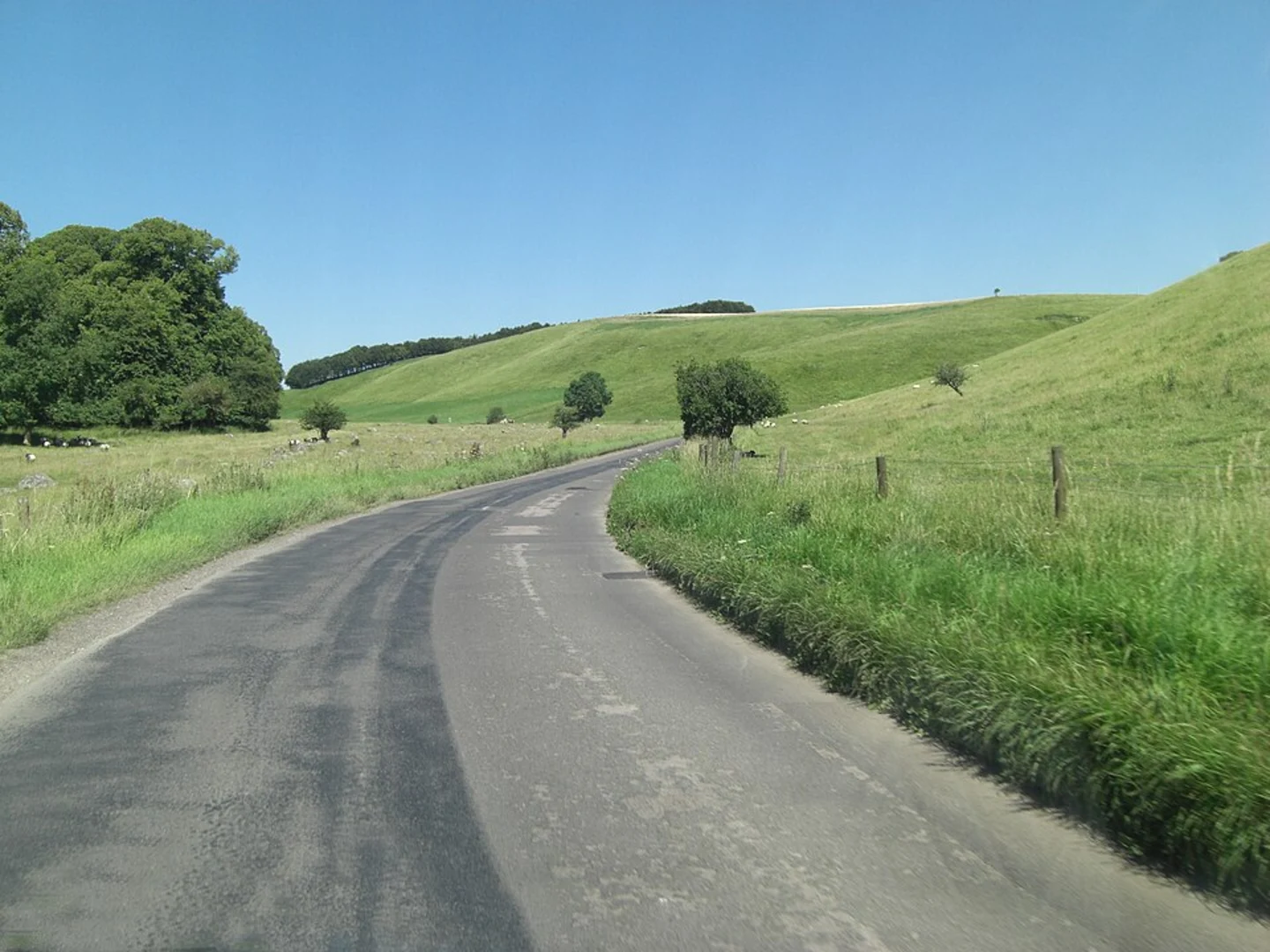 An image depicting the trail Ashdown Park and Weathercock Hill Loop and its surrounding area.