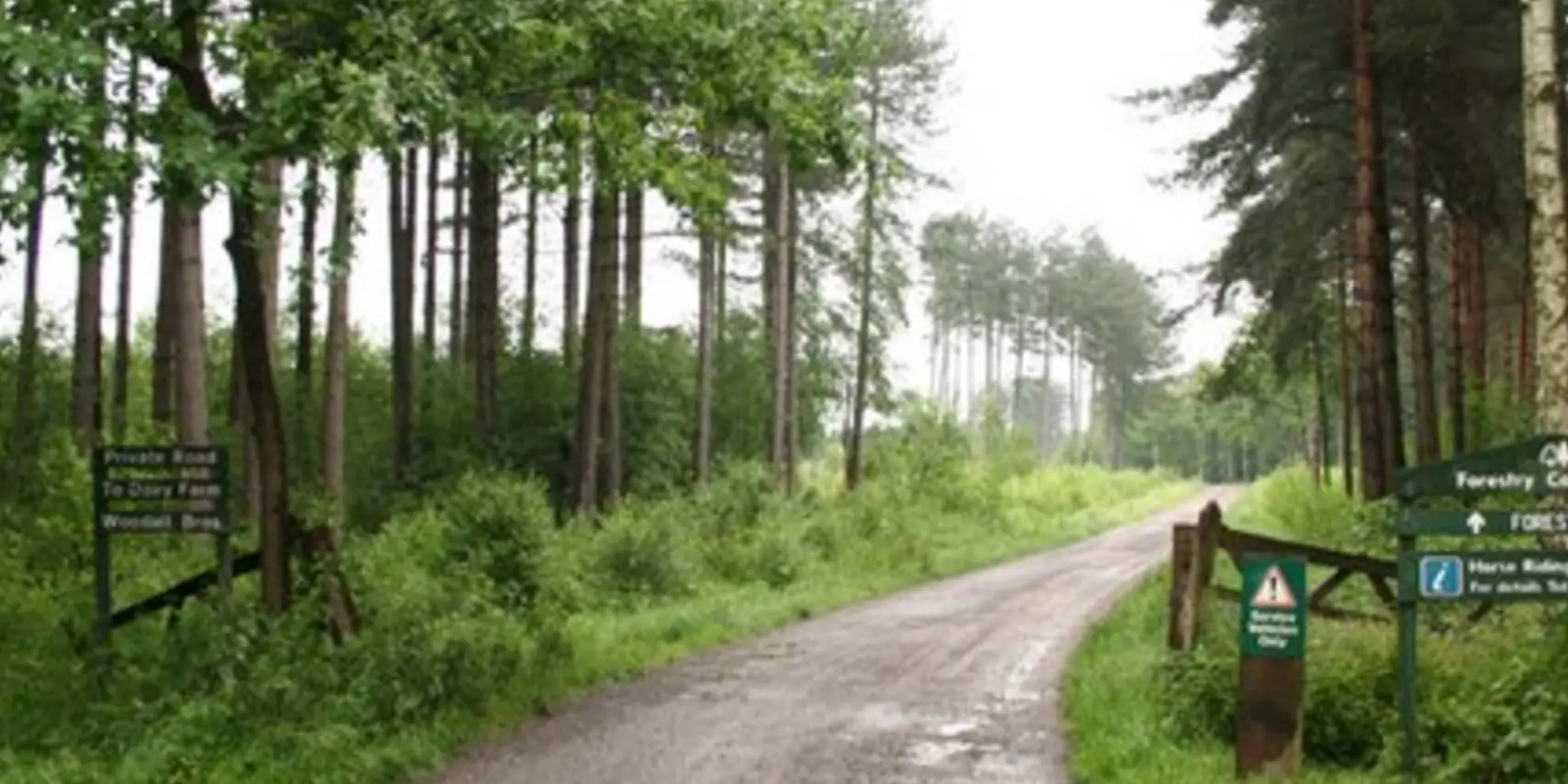 An image depicting the trail Lindsey Trail and its surrounding area.