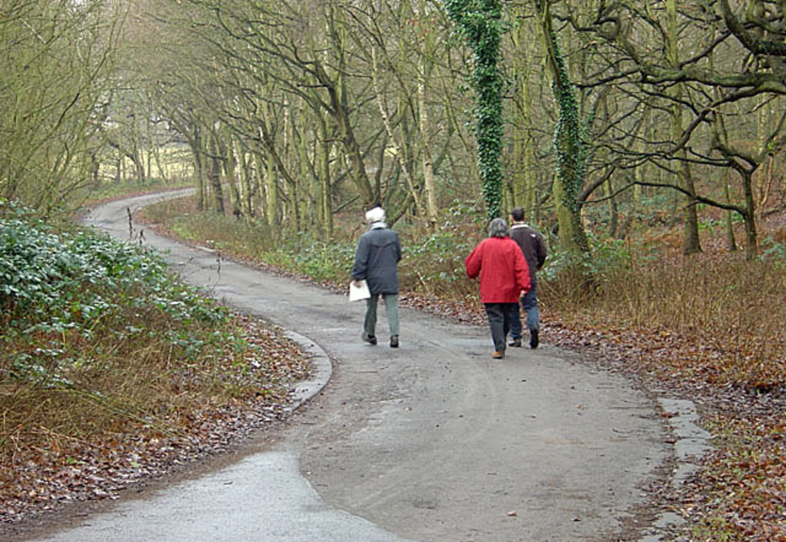 An image depicting the trail Loop around Brayton Barff and its surrounding area.