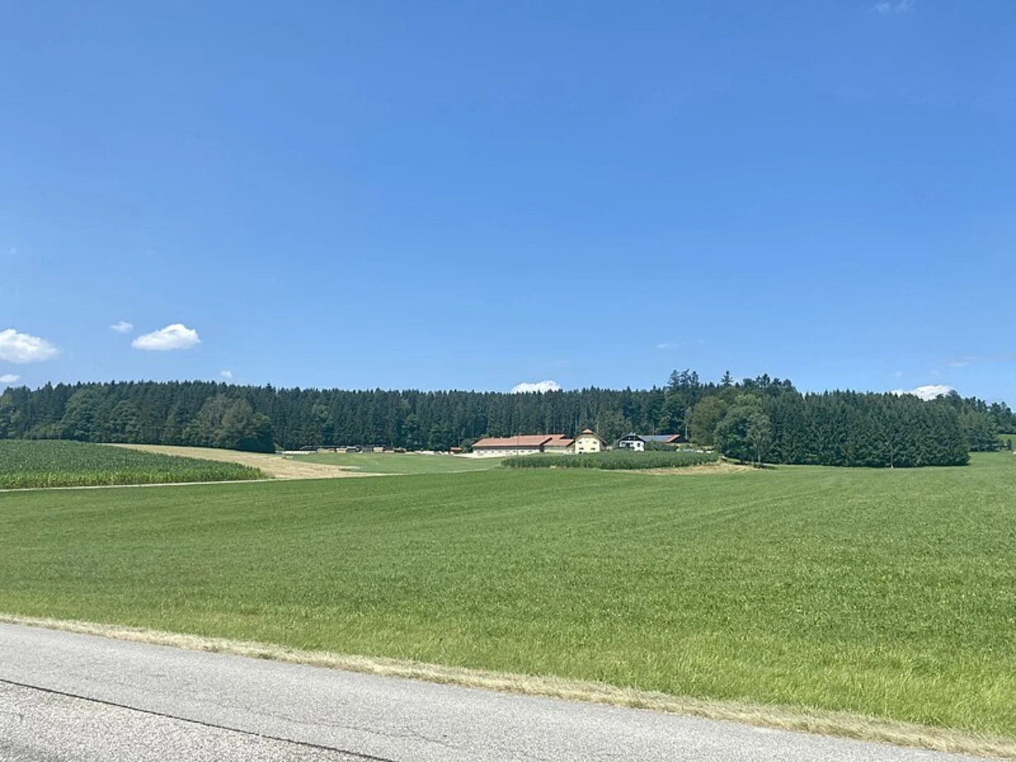 An image depicting the trail Michleggweg and its surrounding area.