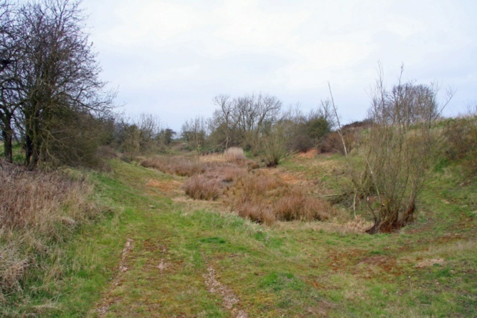 An image depicting the trail Collingham Loop and its surrounding area.