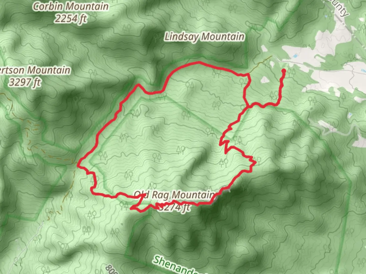 An image depicting the trail Old Rag Mountain and Ridge Trail and its surrounding area.