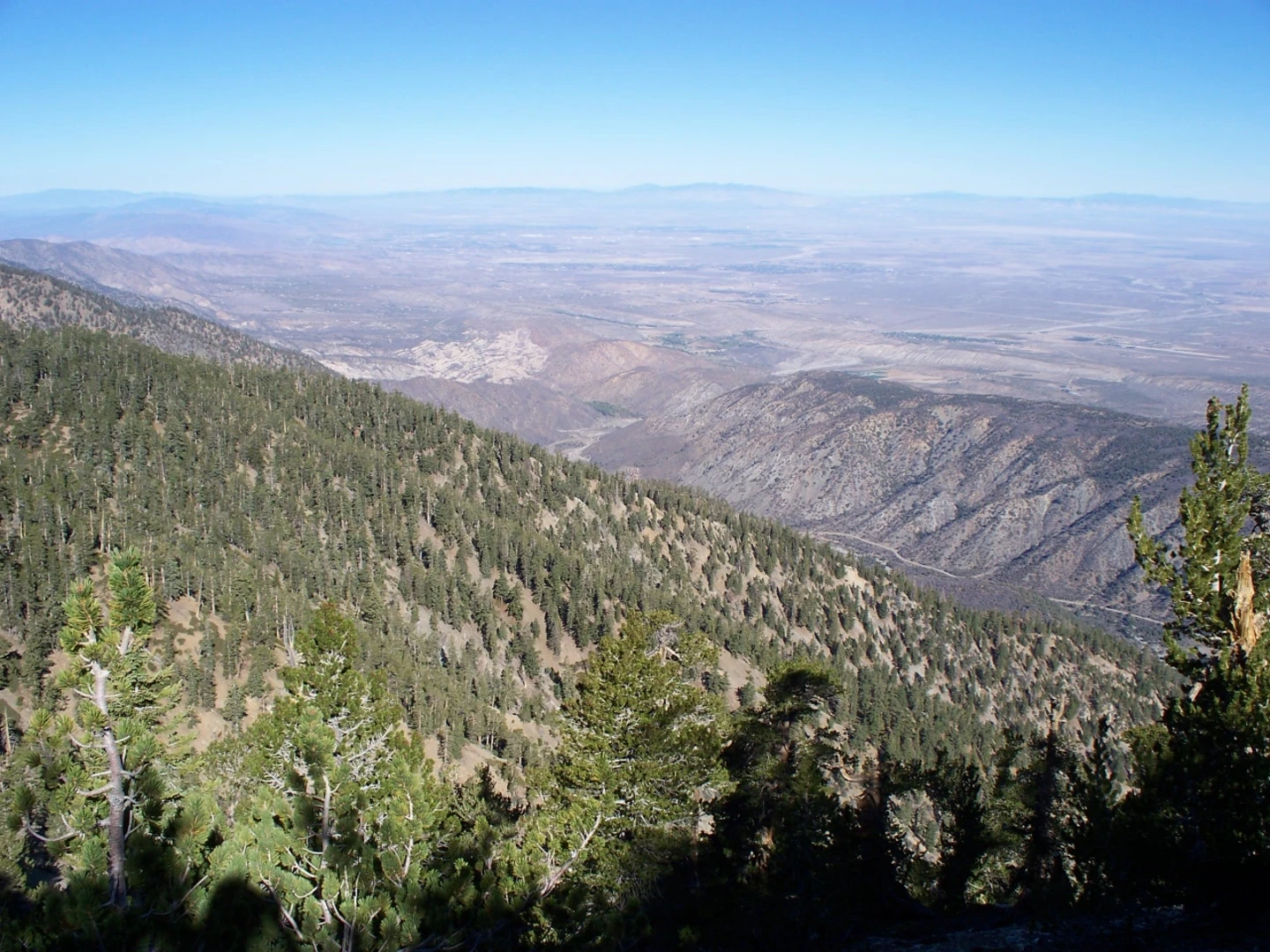 An image depicting the trail Manzanita, Vincent Gap, Pacific Crest and South Fork Loop Trail and its surrounding area.