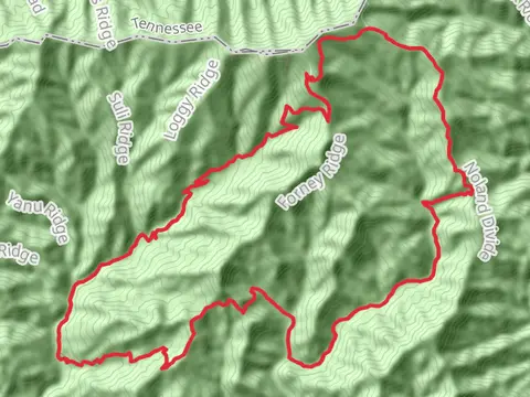 Forney Ridge, Springhouse Branch and Round Top Knob Loop Trail