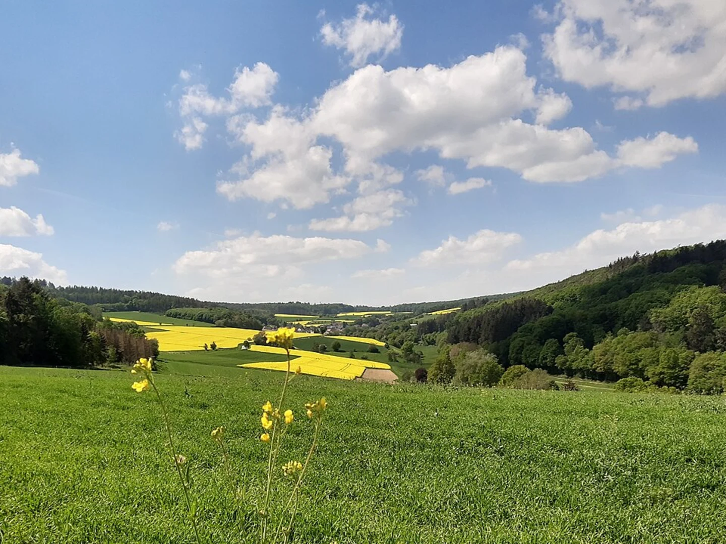 An image depicting the trail Ehrenbach to Oberauroff Walk and its surrounding area.