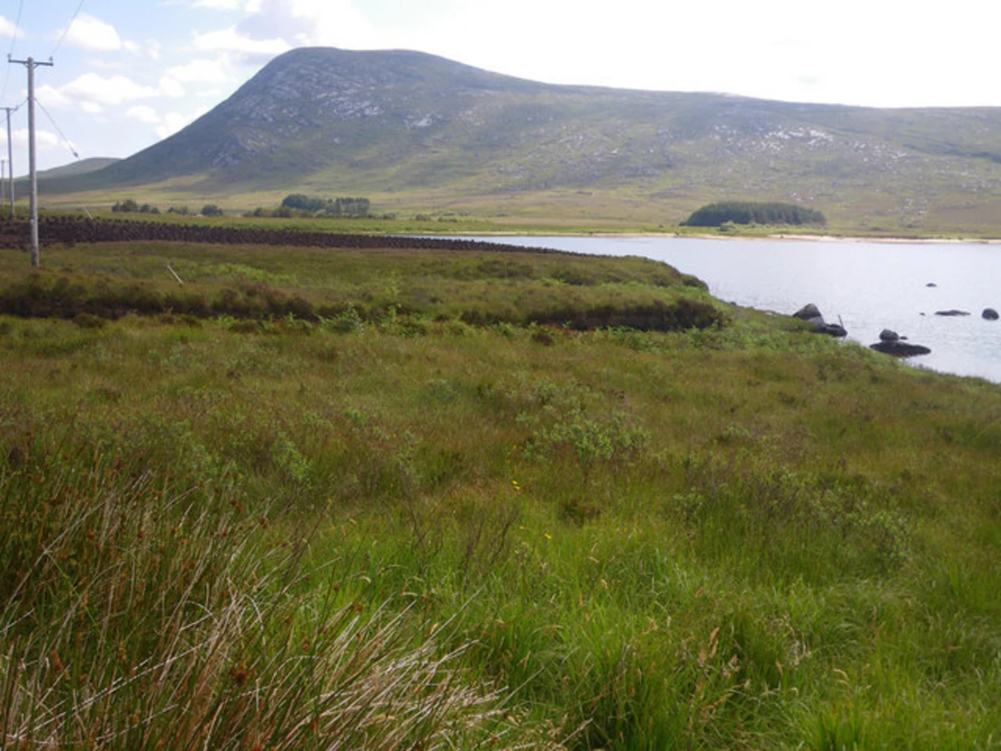 An image depicting the trail Crockfadda and Drumnalifferny Mountain Loop from Lough Barra and its surrounding area.