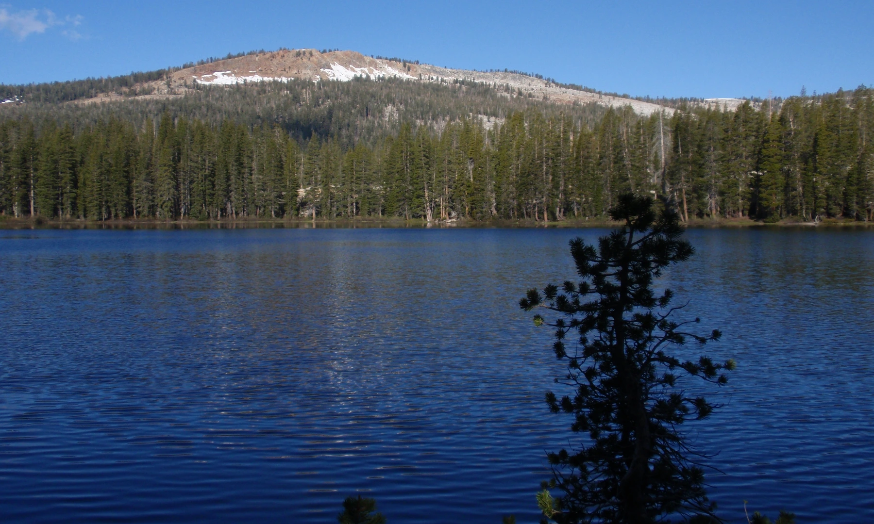 An image depicting the trail Cora Lakes via Isberg Trail and its surrounding area.