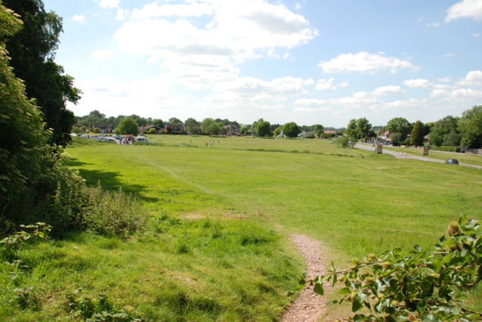 An image depicting the trail Milford Common Loop and its surrounding area.