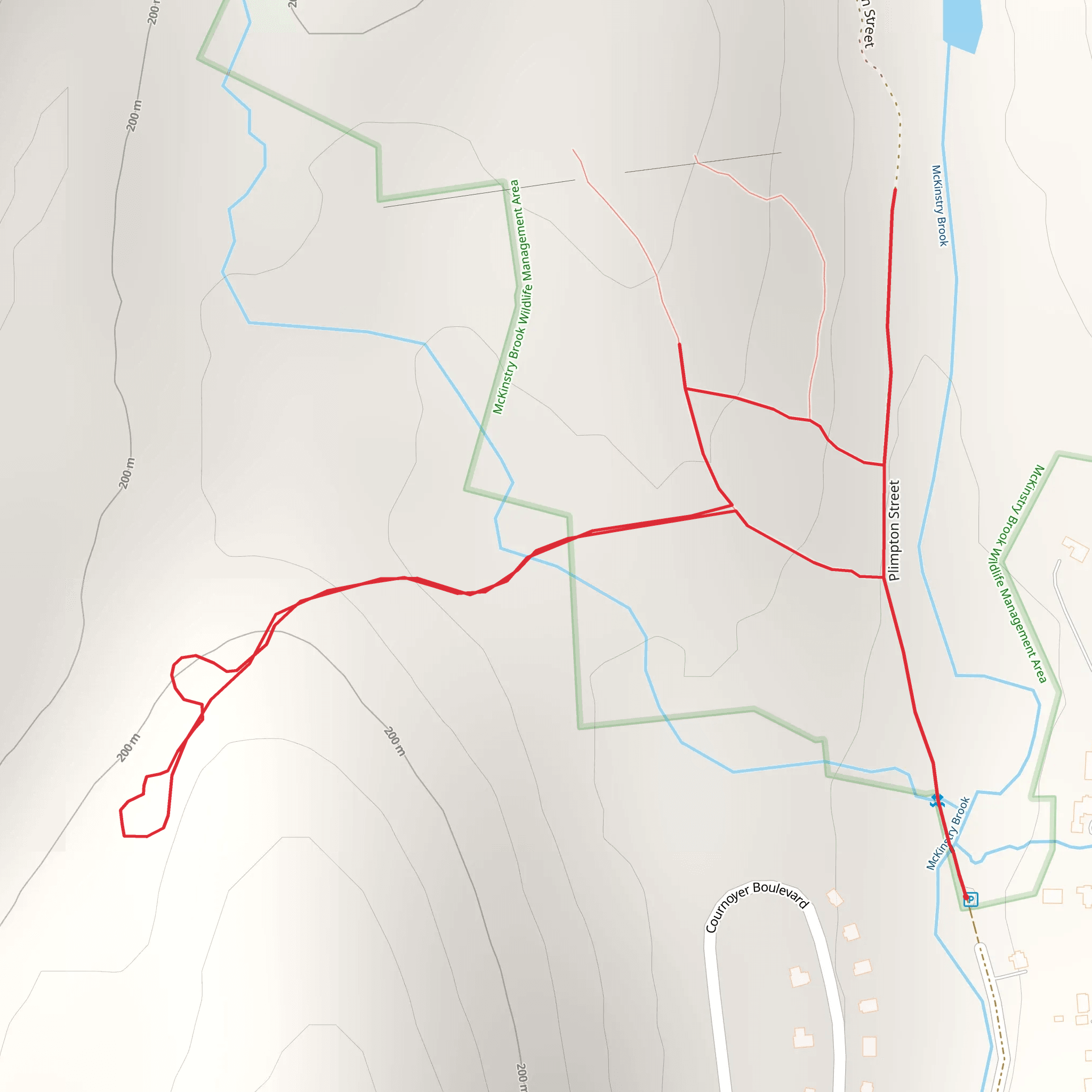 Mckinstry Brook - Plimpton Street mobile static map