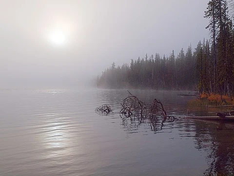 An image depicting the trail Miller Lake Loop Trail and its surrounding area.