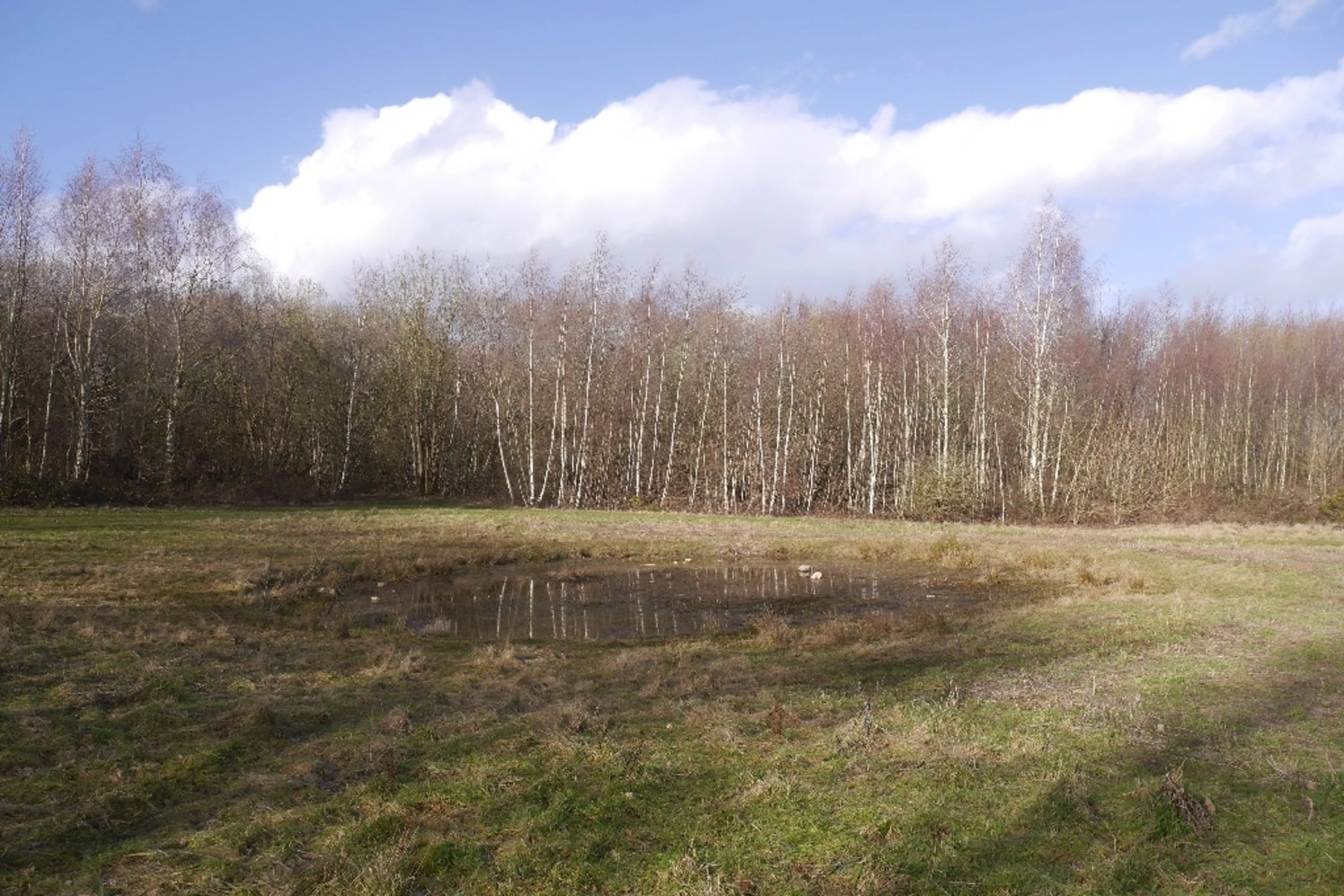An image depicting the trail Stanmore Country Park Shropshire and its surrounding area.