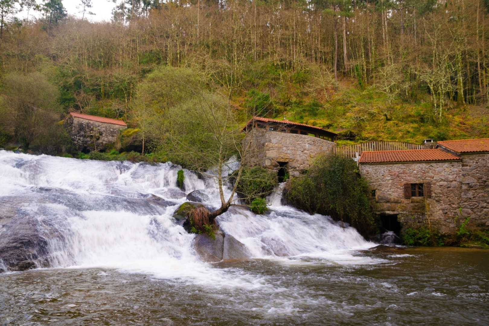An image depicting the trail Sendeiro dos Muíños de Barosa PR G 105 and its surrounding area.