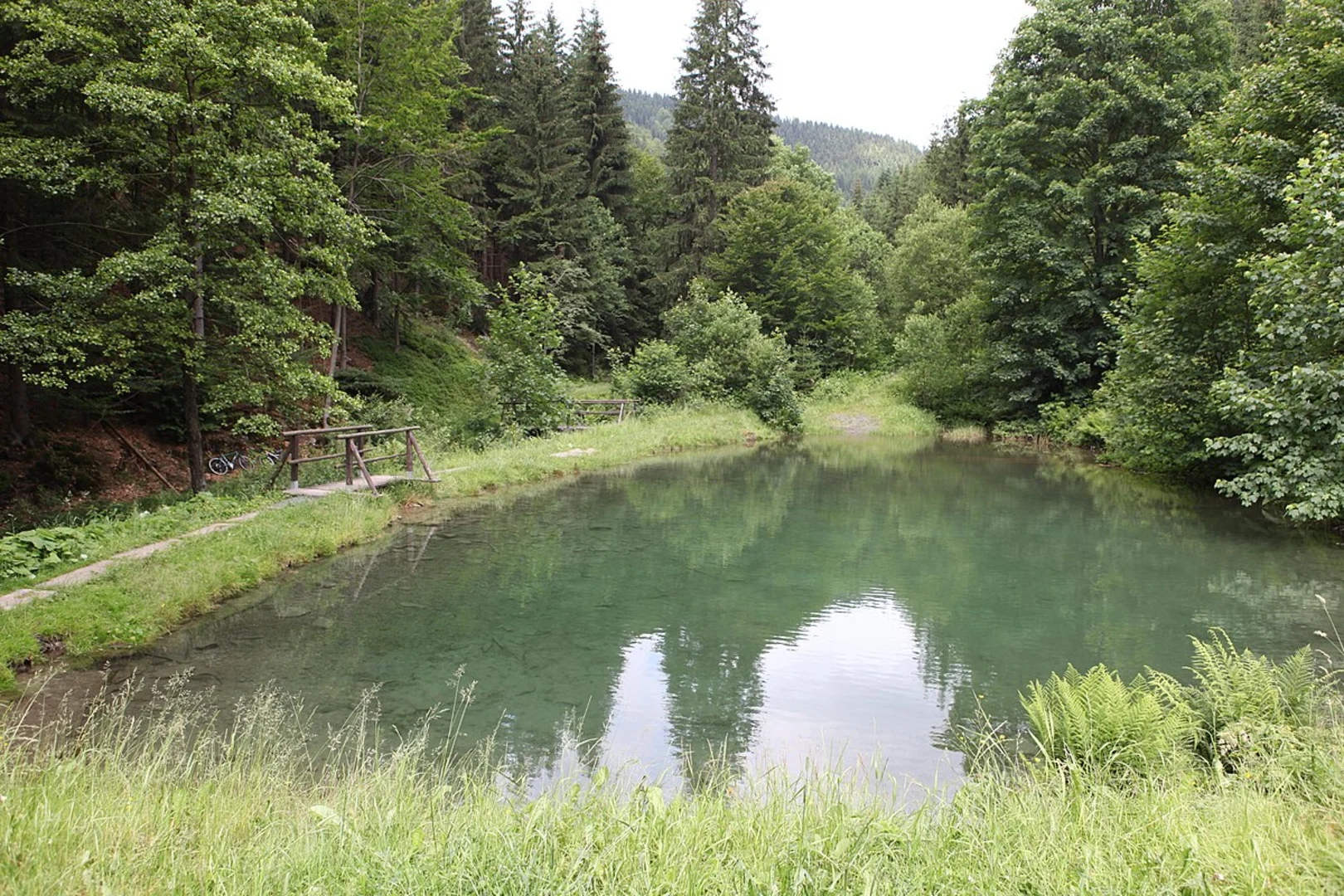 An image depicting the trail Unterer - Oberer Teich, Kleiner Rigi and Kartoffelberg Loop - Externsteine and its surrounding area.