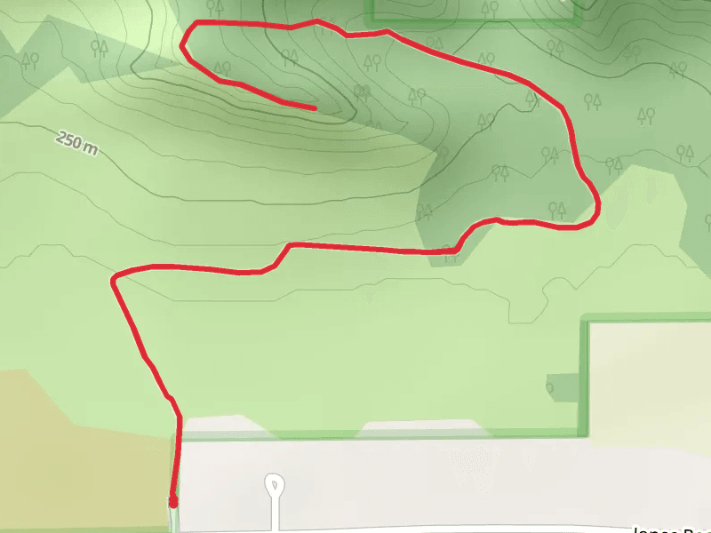 Spring Green Preserve