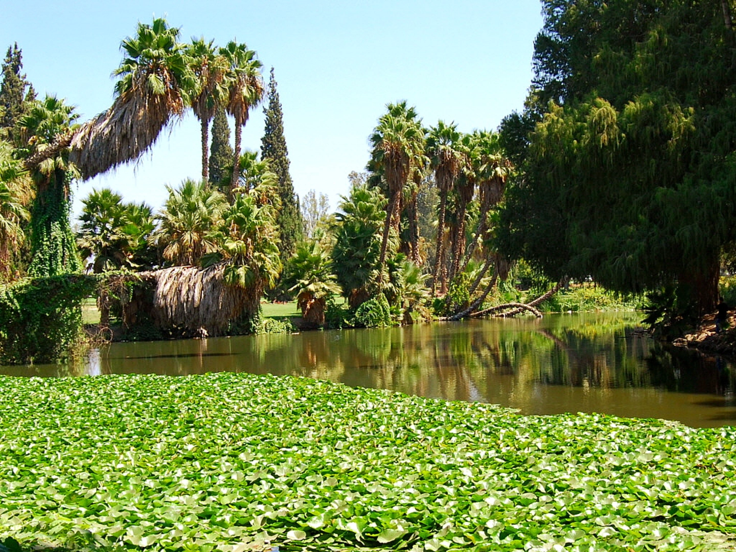 An image depicting the trail Evans and Fairmount Lakes Loop and its surrounding area.