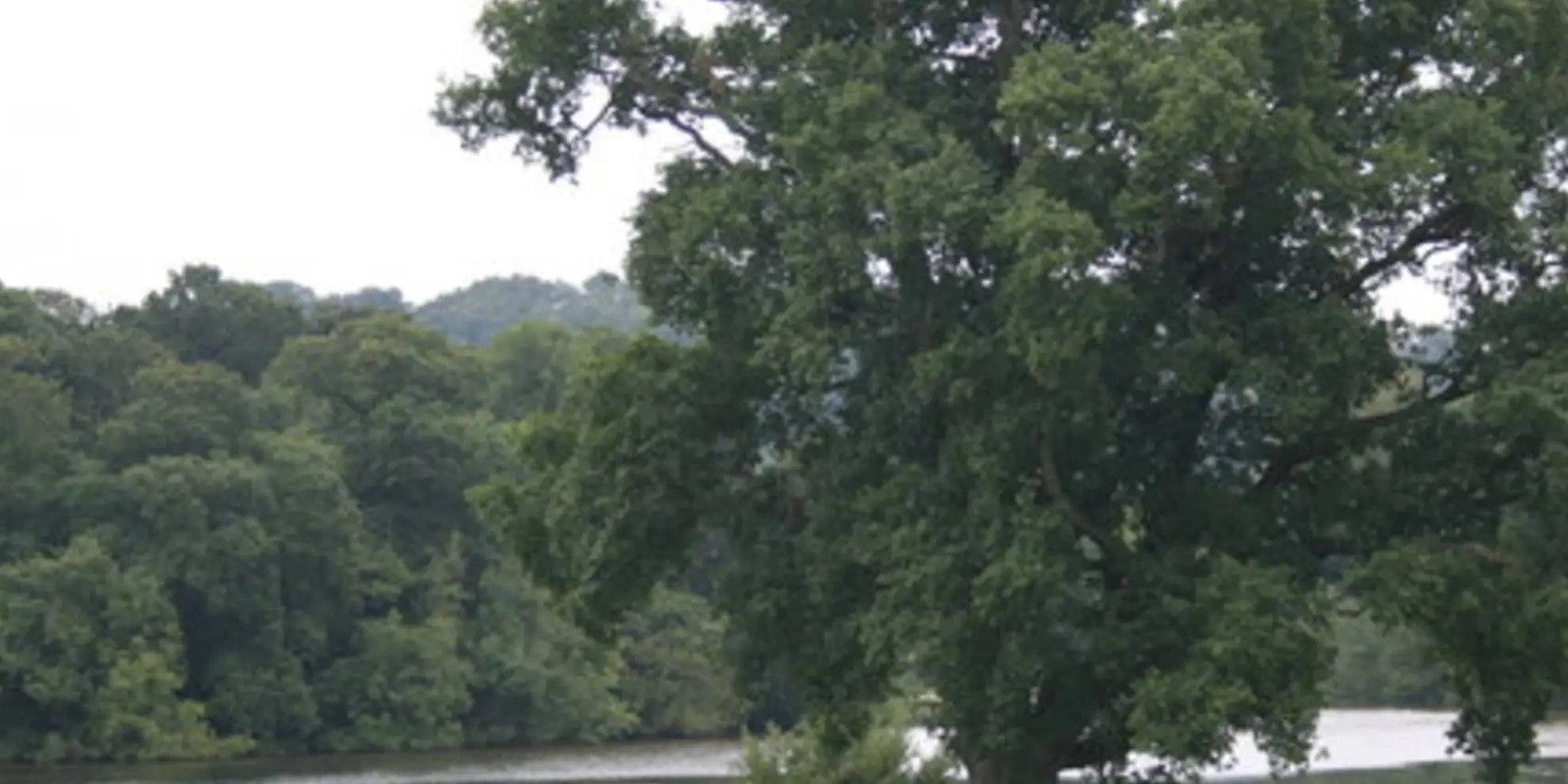 An image depicting the trail The Lakeside Walk and its surrounding area.