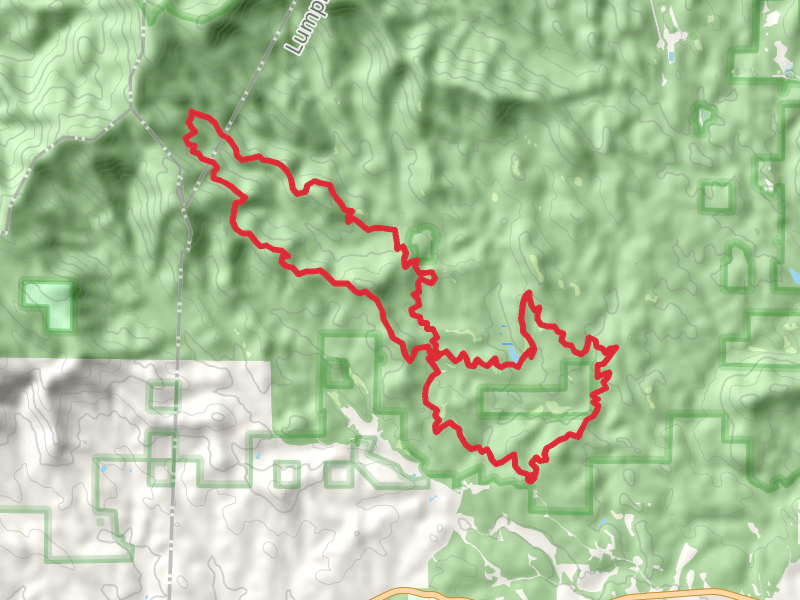 Bull Mountain Cutoff Trail, Saddle Back Trail and Moss Creek Trail LOop