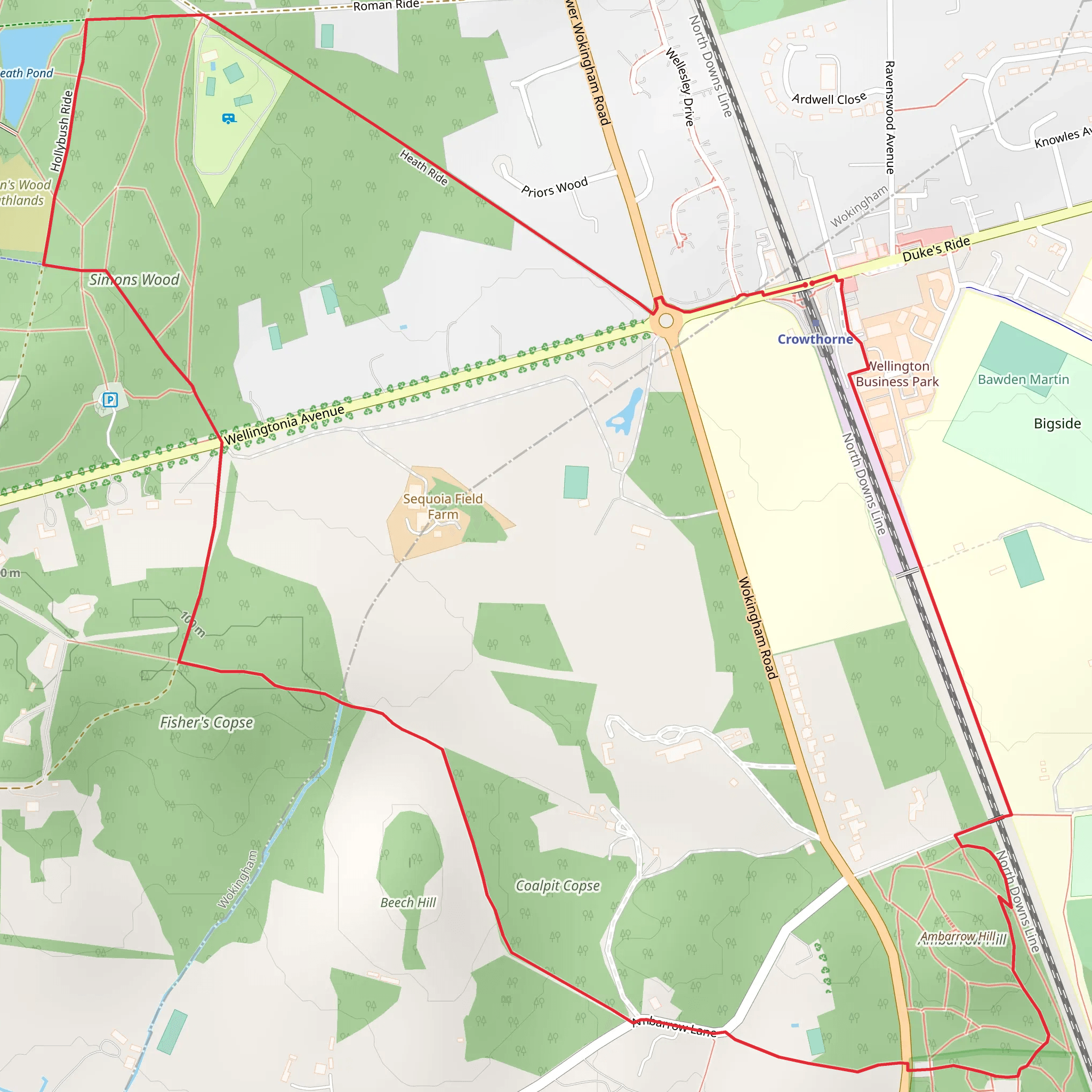 Crowthorne Loop mobile static map