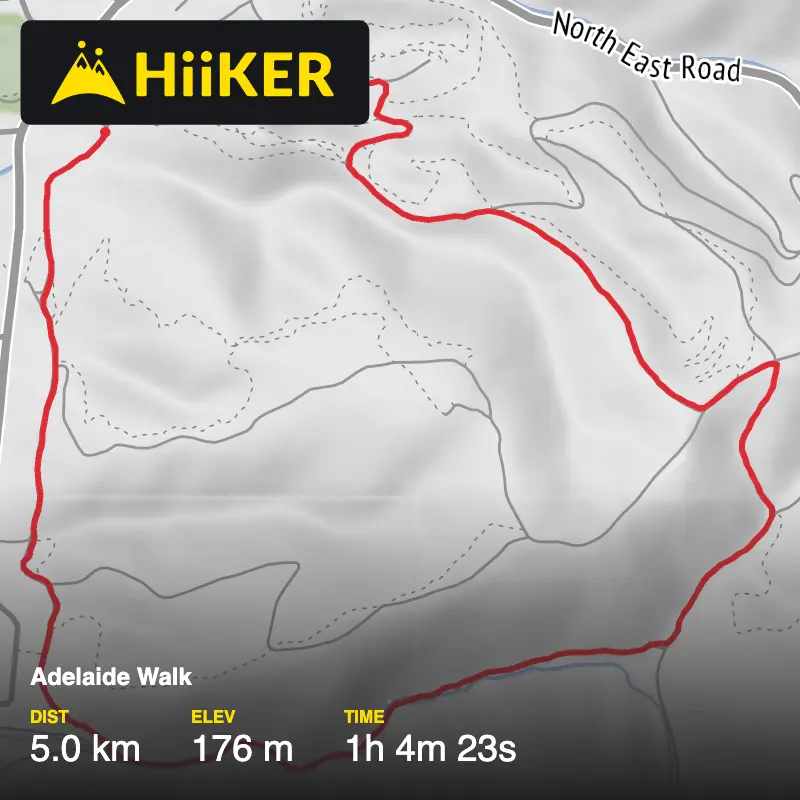 A map preview of the recording Ansteys Parkrun Track.