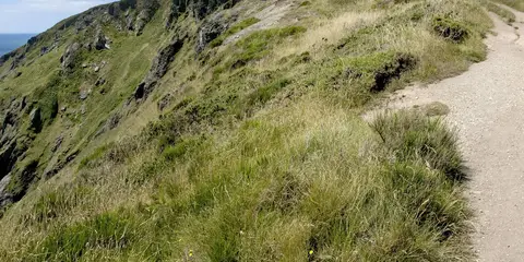 An image depicting the trail Bolberry Down and Soar Mill Cove Walk and its surrounding area.