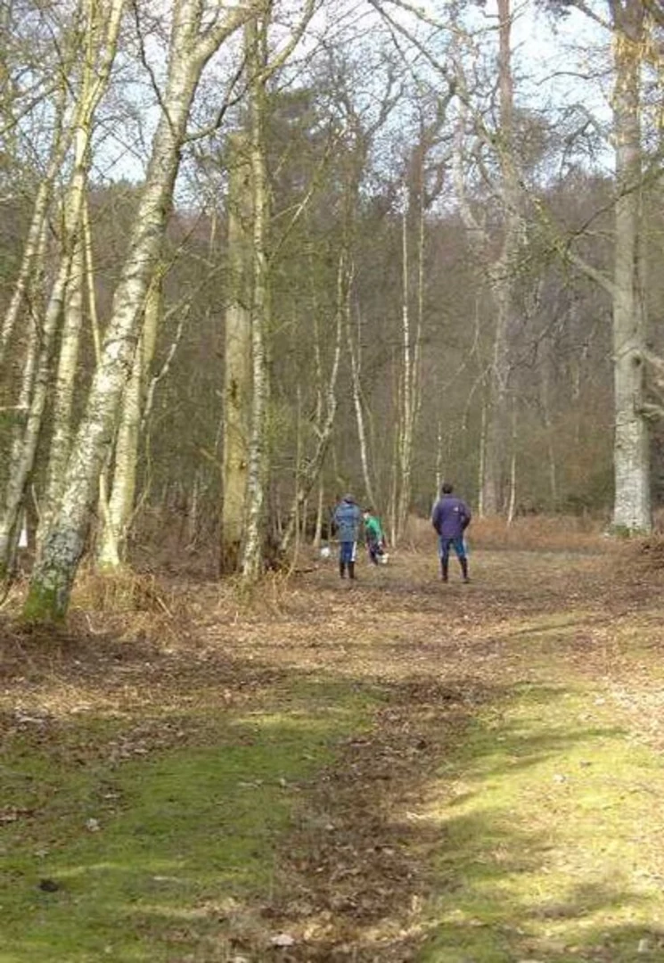 An image depicting the trail Northpark Wood and Parham Airfield Loop and its surrounding area.