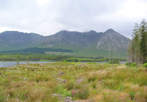 An image depicting the trail Binn Chorr North Top and An Bhinn Dubh Loop from Fountainhill and its surrounding area.