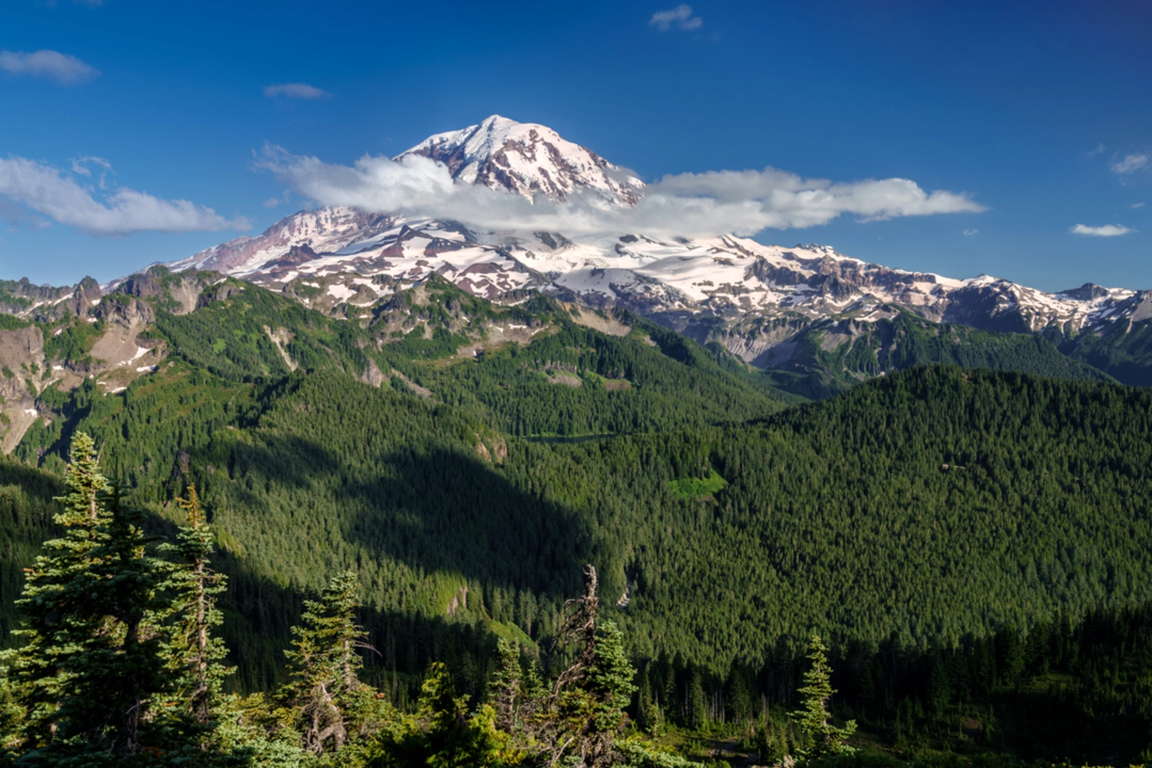 An image depicting the trail Tolmie Peak Trail and its surrounding area.