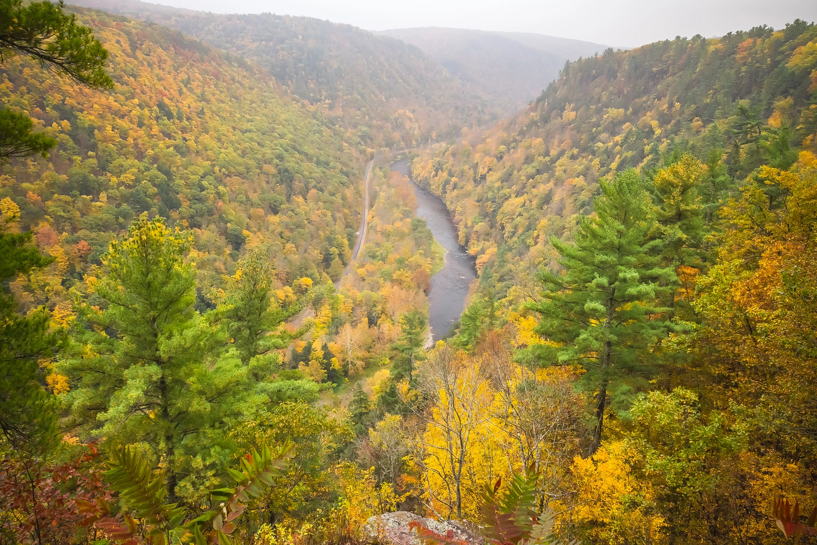 An image depicting the trail Peters Mountain Ridge Trail from Streamside Campsite and its surrounding area.
