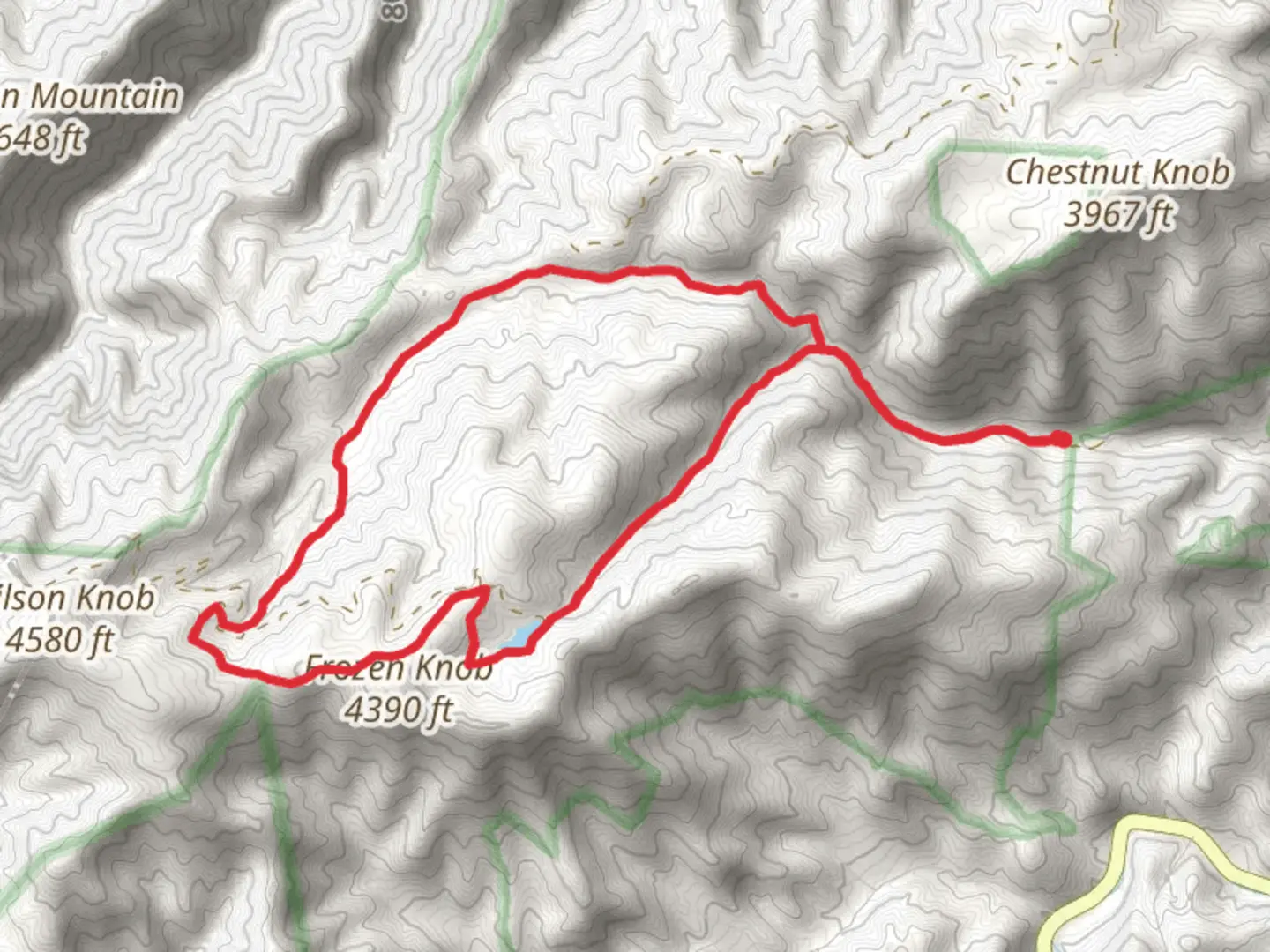 An image depicting the trail Higgins Creek Trail and Birchfield Camp Loop Trail and its surrounding area.