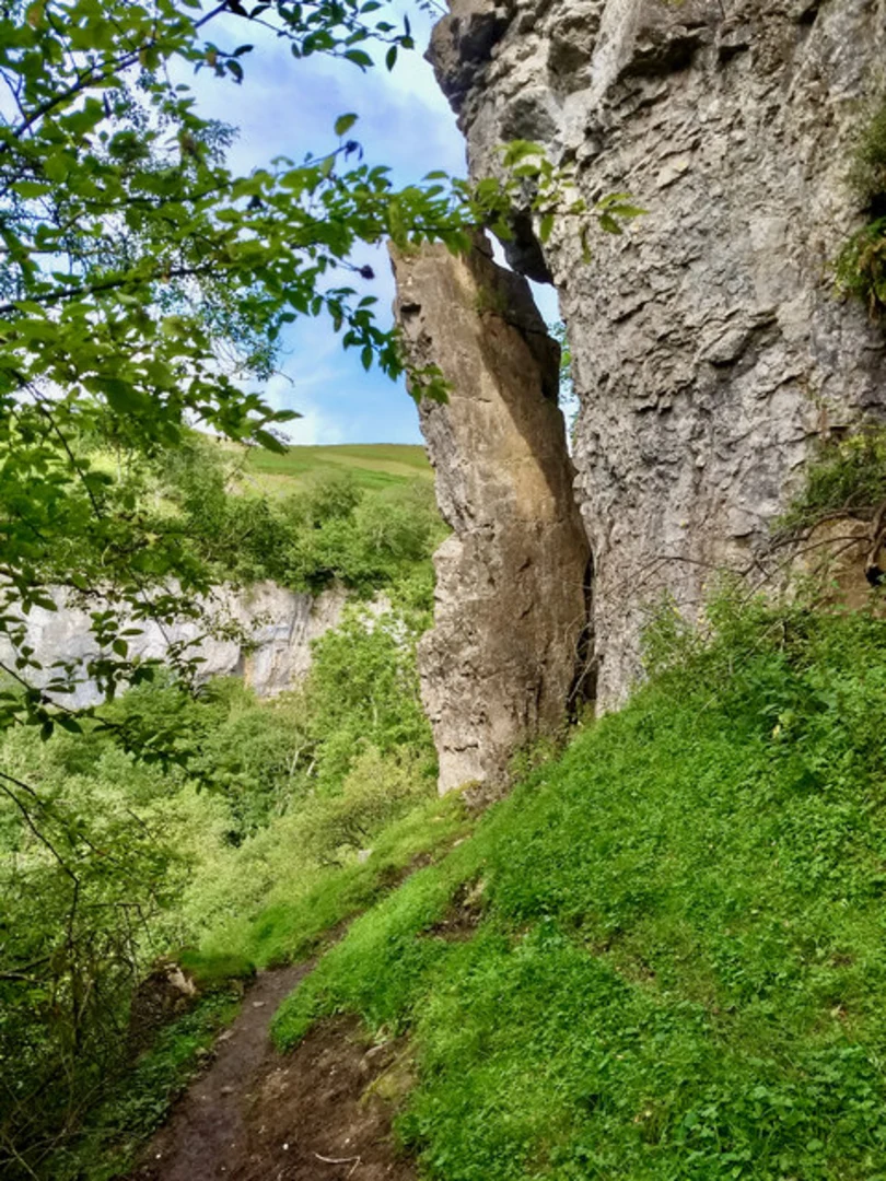 An image depicting the trail Hoggarth's Leap, Ruskin Wood and East Gill Force Loop and its surrounding area.