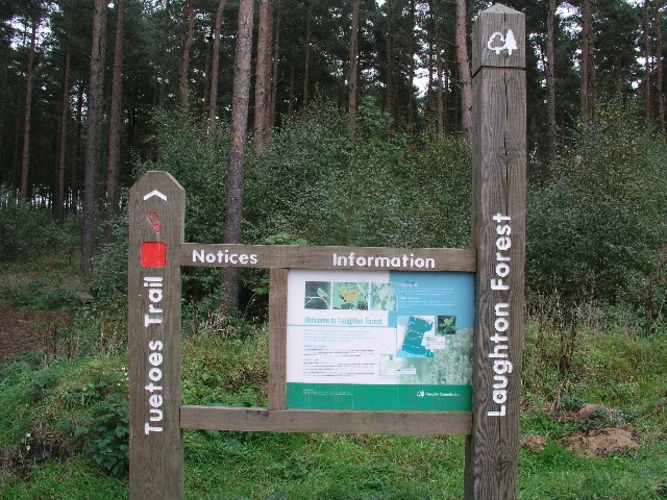 Hardwick Hill and Laughton Forest Loop