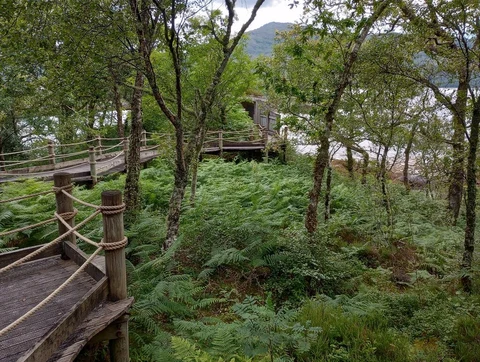 An image depicting the trail Garbh Eilean Wildlife Hide Trail and its surrounding area.