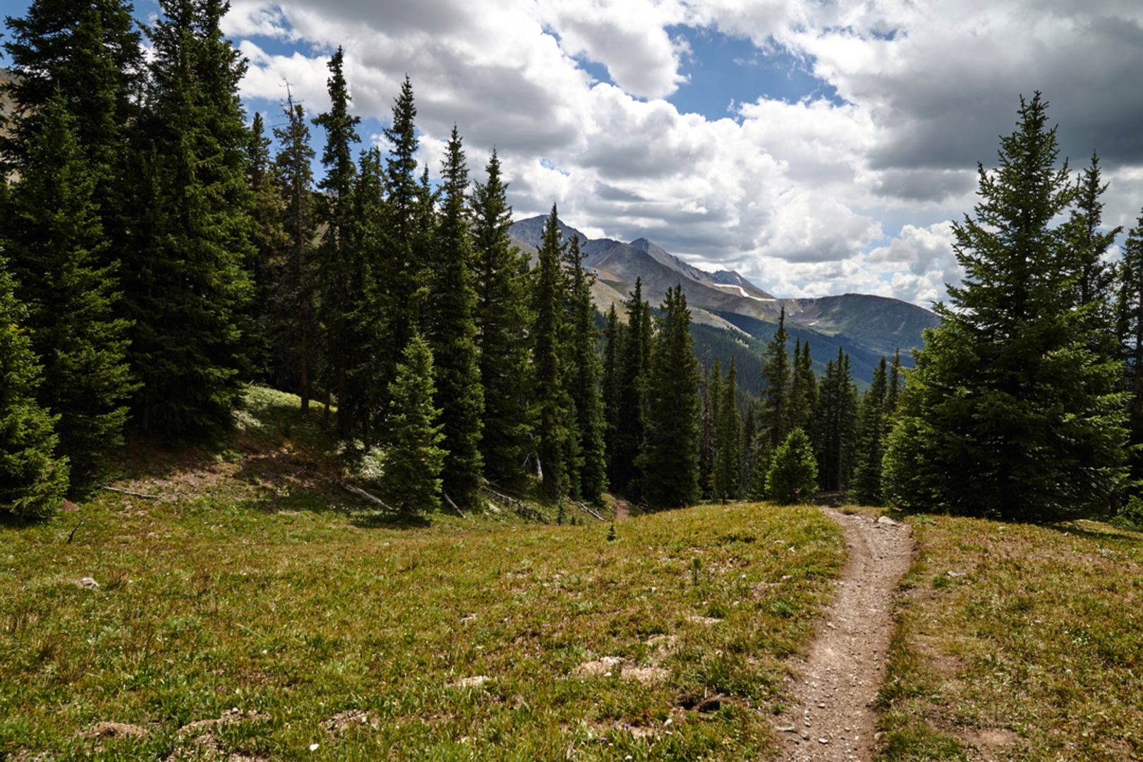 An image depicting the trail Fisher Mountain Trail and its surrounding area.
