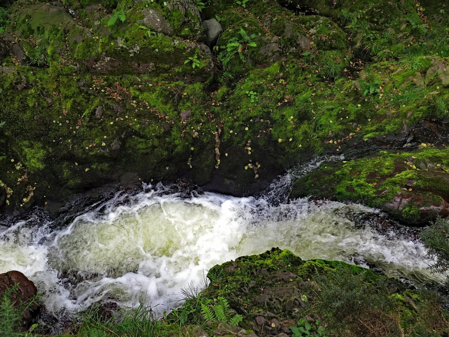 An image depicting the trail Hethpool Wild Goat Walk and its surrounding area.