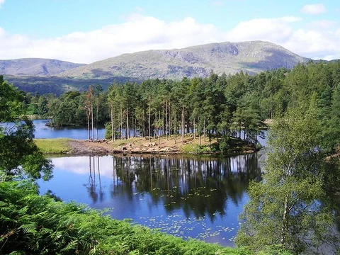 An image depicting the trail Hawkshead, Tarn Hows and Yew Tree Tarn Loop and its surrounding area.