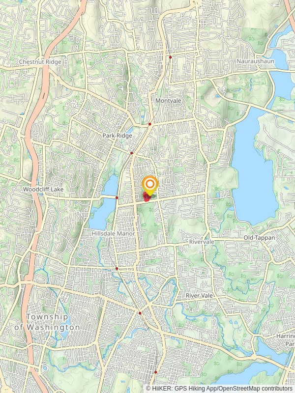 Wood Dale County Park Pond Loop