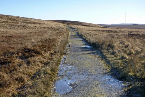 An image depicting the trail Coppice Stile House and Wheelton Plantation Loop and its surrounding area.