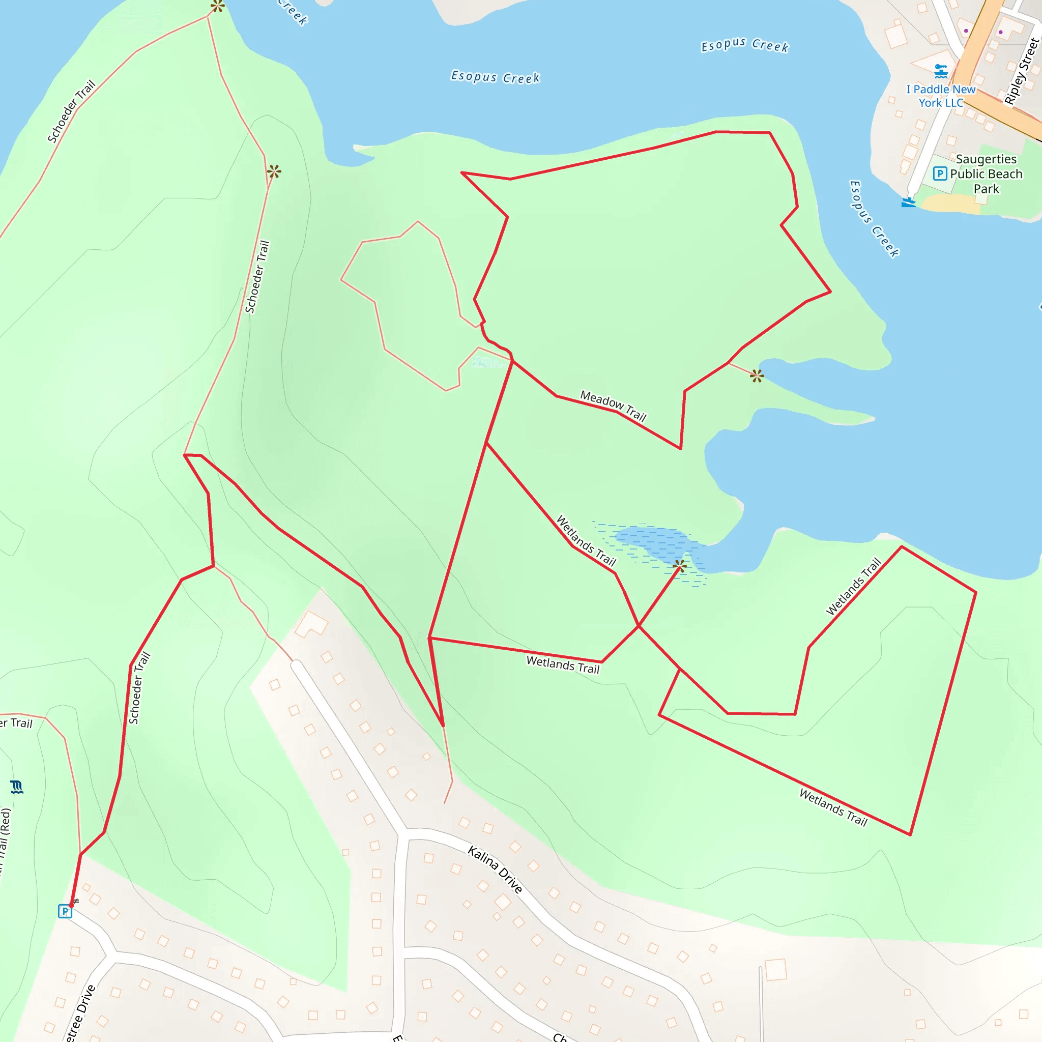 Esopus Creek Loop via Wetlands Trail Loop mobile static map