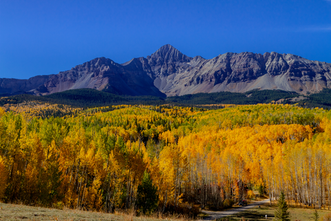 An image depicting the trail Lynch Creek Trail and its surrounding area.