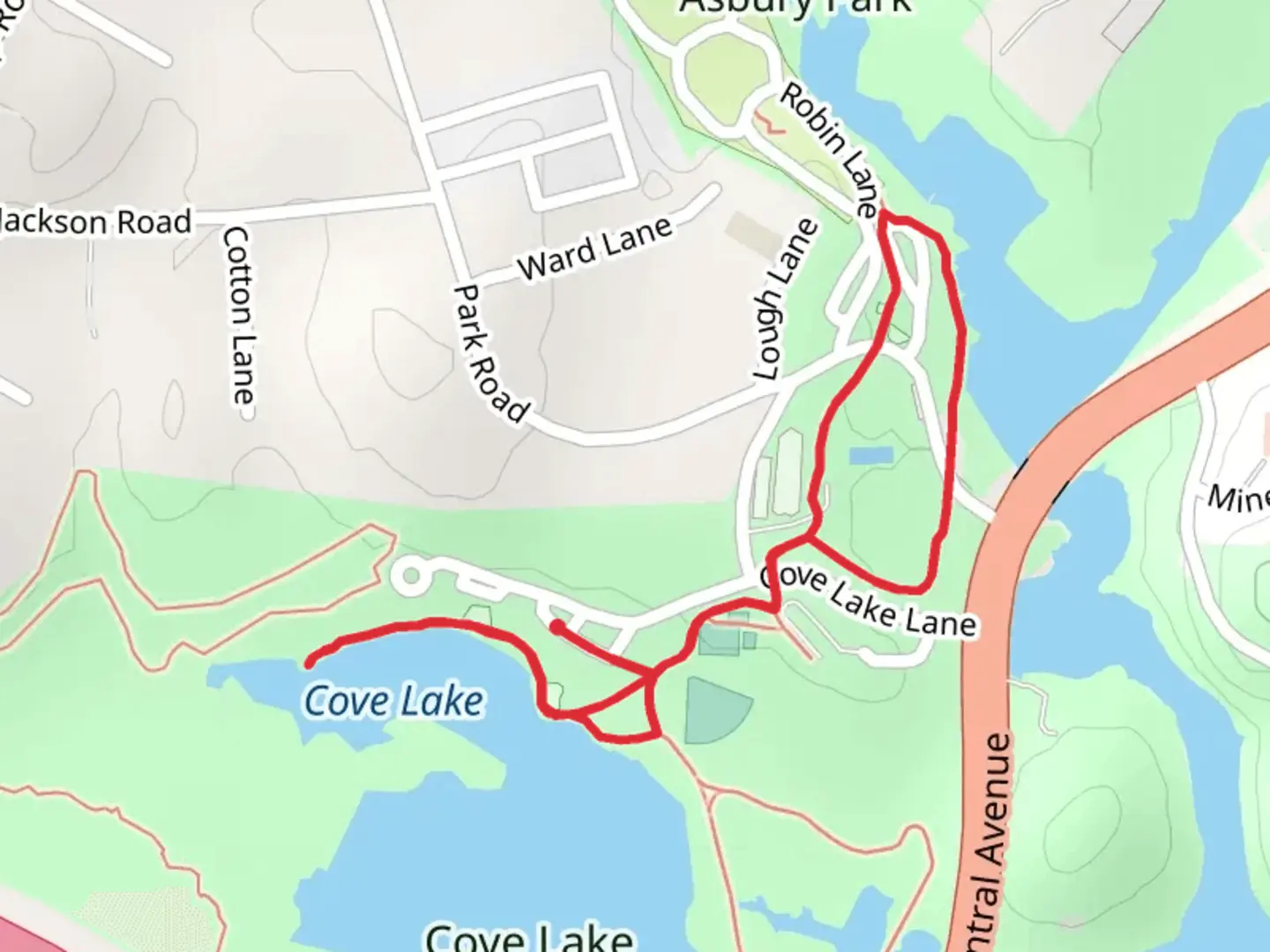 An image depicting the trail Cove Lake Loop and its surrounding area.