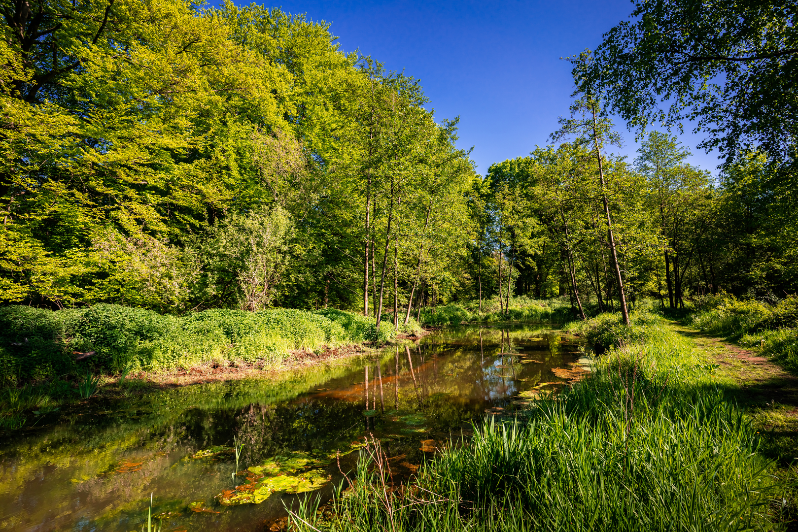 An image depicting the trail Meijetseweg, Randweg and Roggelsedijk Loop and its surrounding area.
