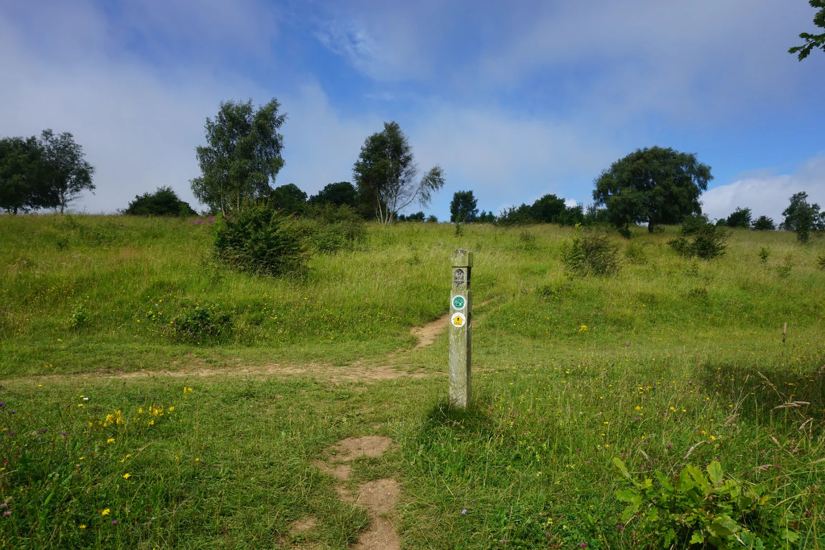 An image depicting the trail Yorkley Loop and its surrounding area.
